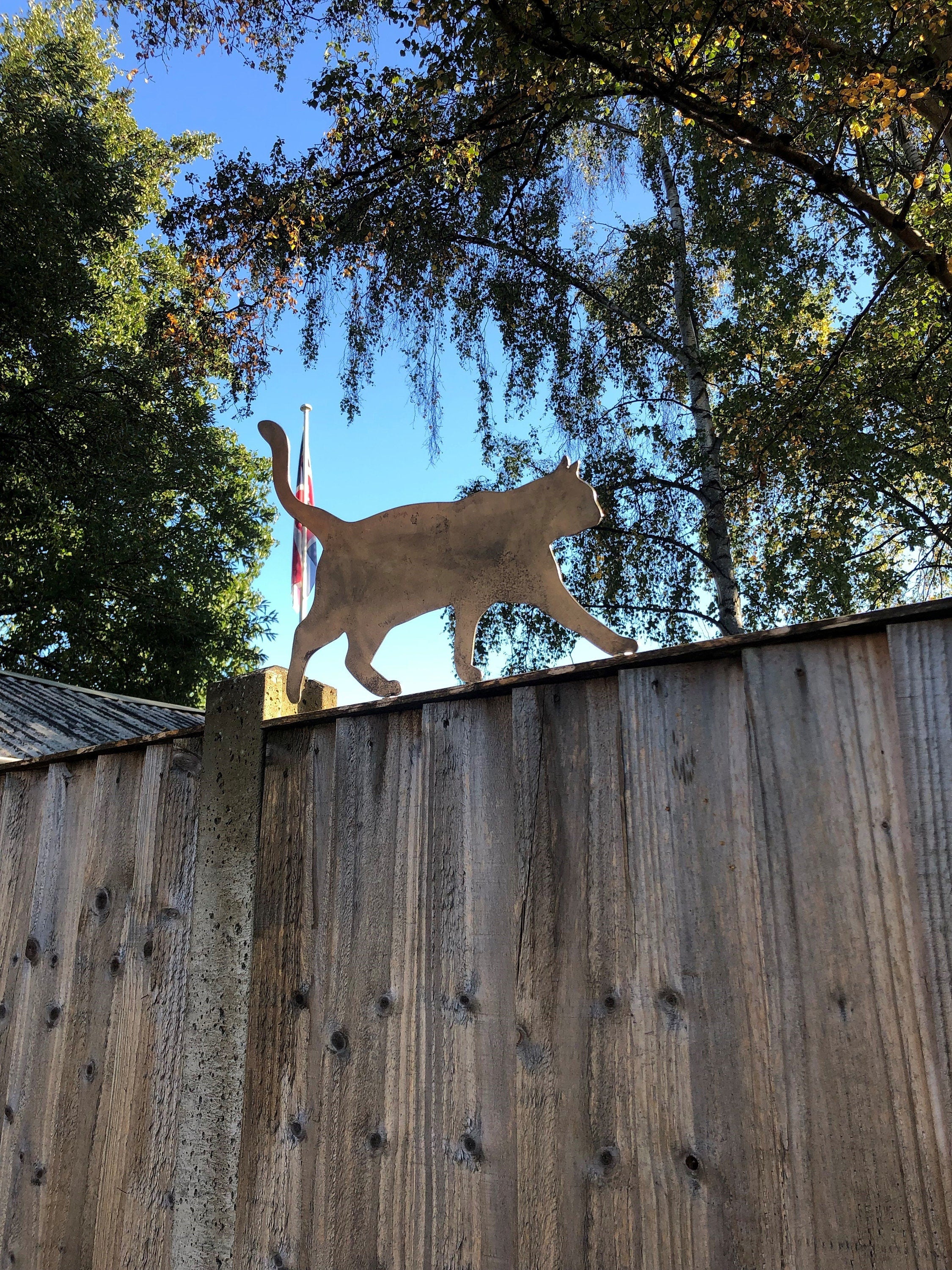 Cat fence store